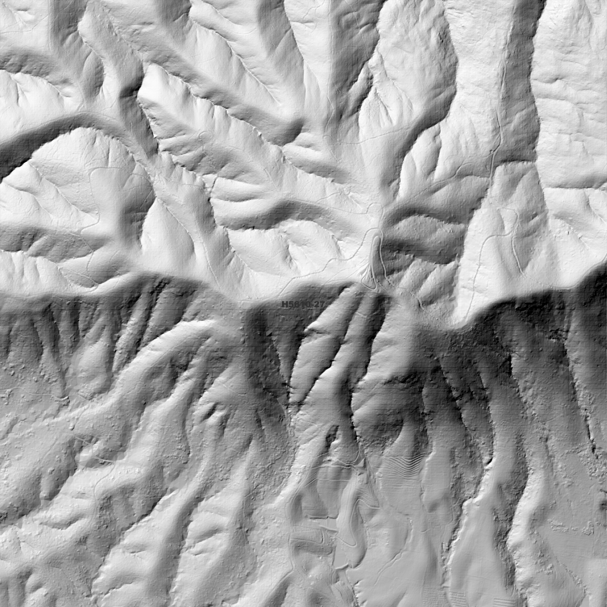 Warrell 50cm, 1m & 2m Digital Elevation Models (H5610-27)