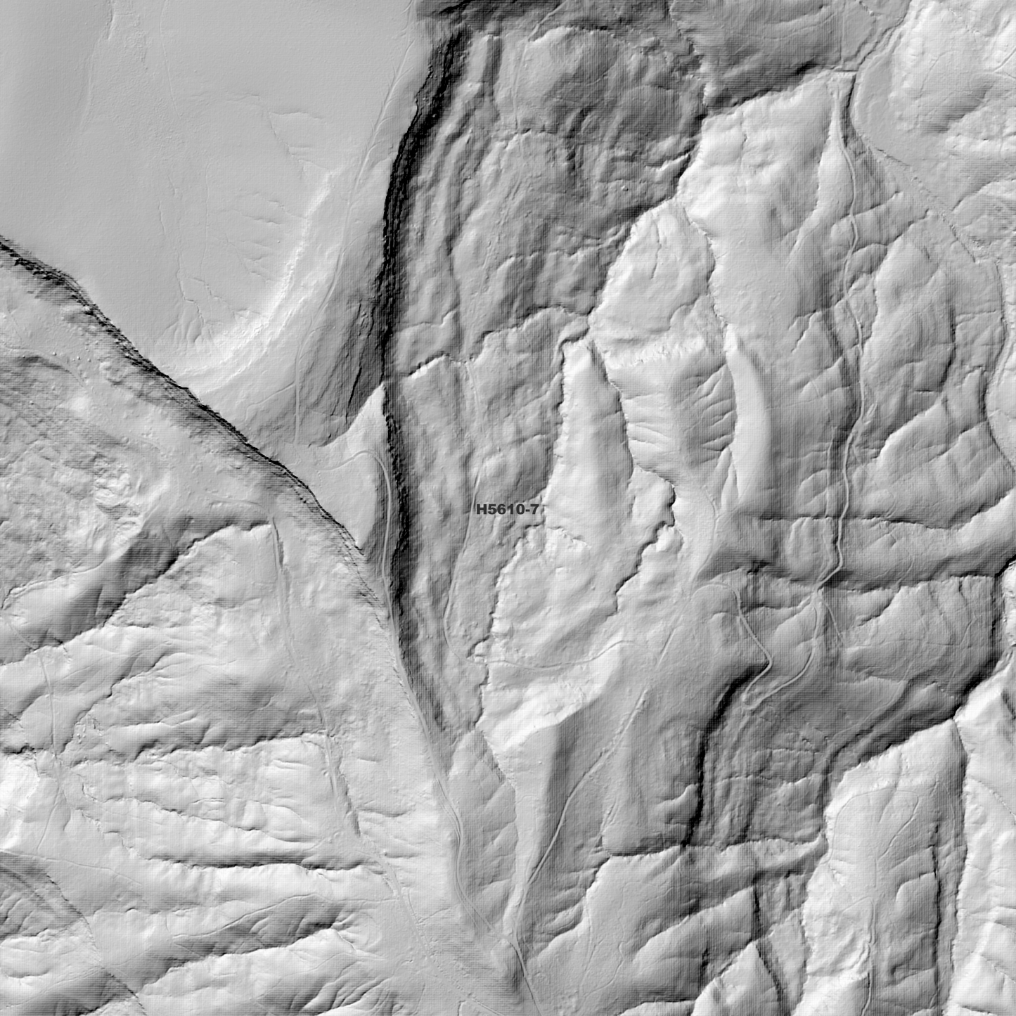 Woolgoolga 1m Digital Elevation Model (H5610-7)