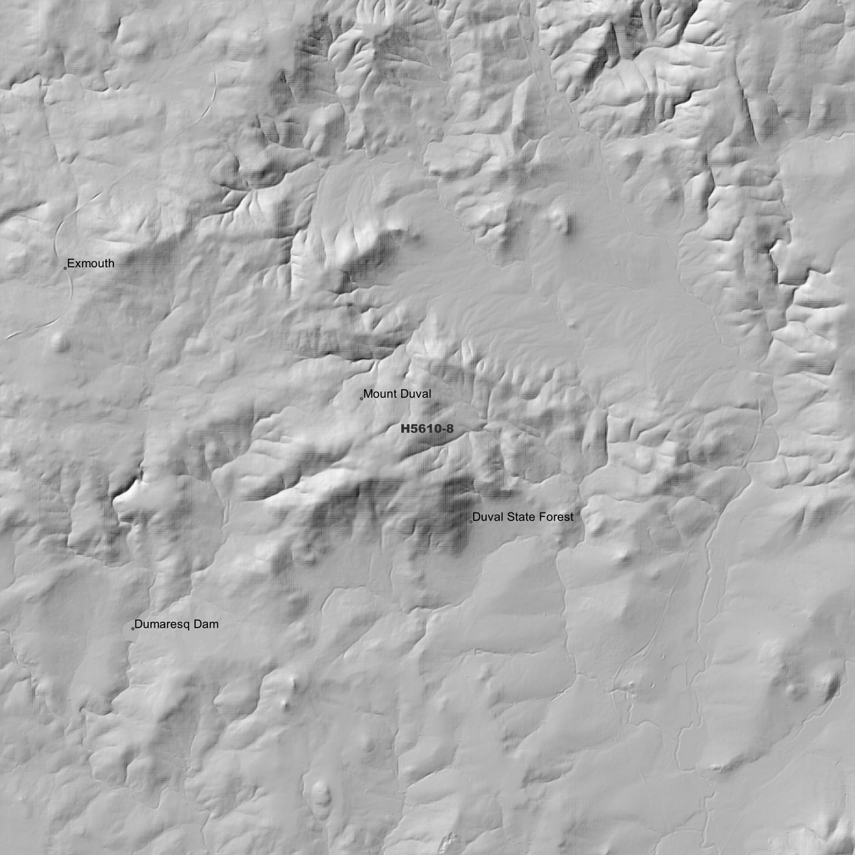 Duval 1m, 2m & 5m Digital Elevation Models (H5610-8)