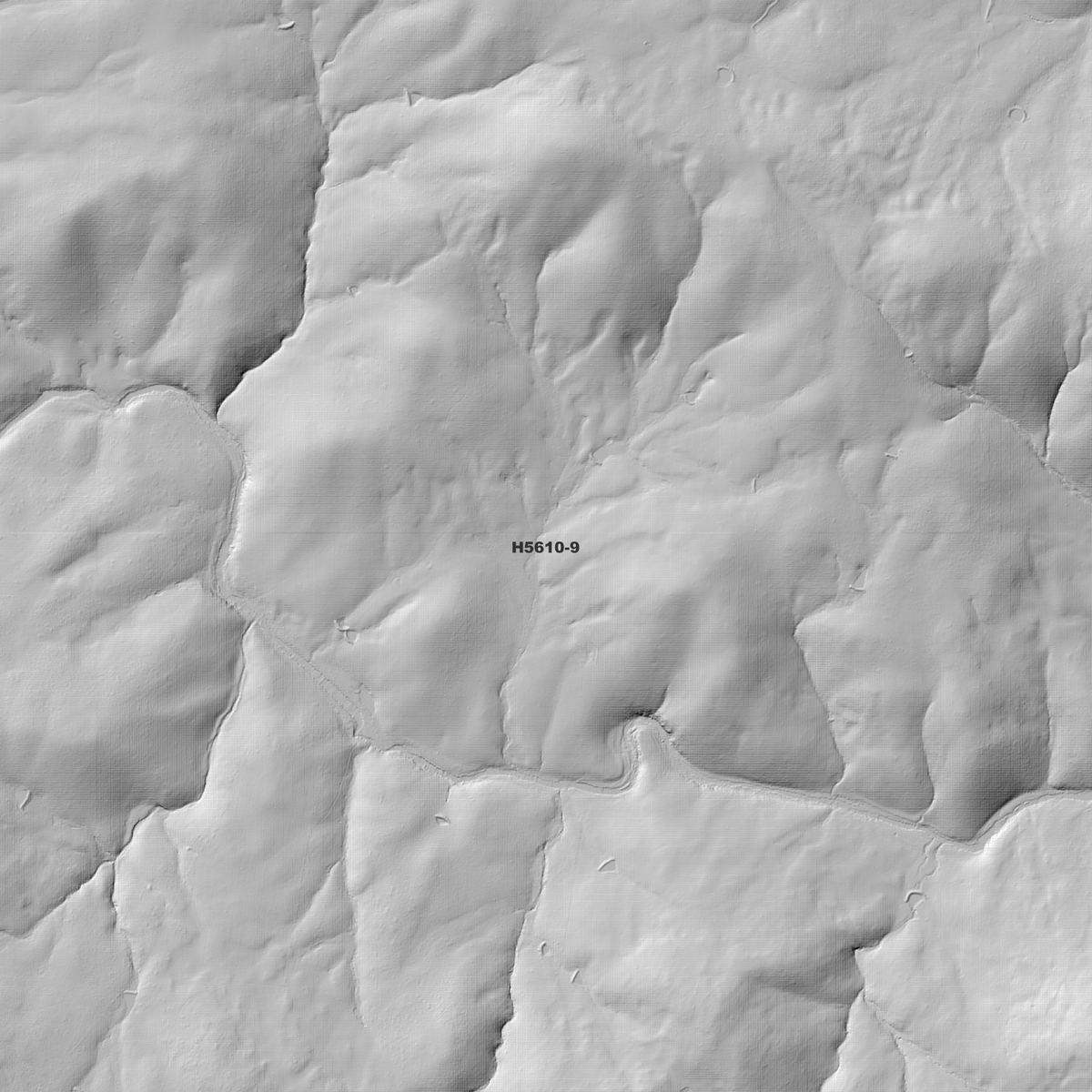 Brockley 1m, 2m & 5m Digital Elevation Models (H5610-9)