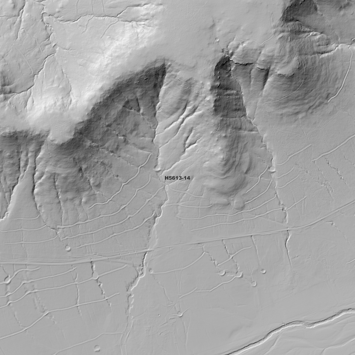 Windy 1m & 5m Digital Elevation Models (H5613-14)
