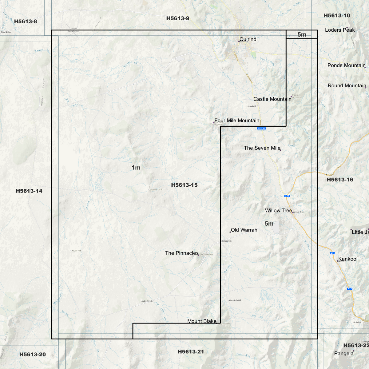 Willow Tree 1m & 5m Digital Elevation Models (H5613-15)
