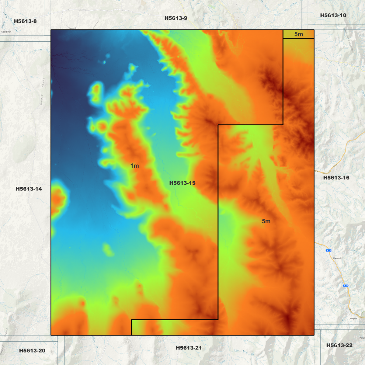 Willow Tree 1m & 5m Digital Elevation Models (H5613-15)
