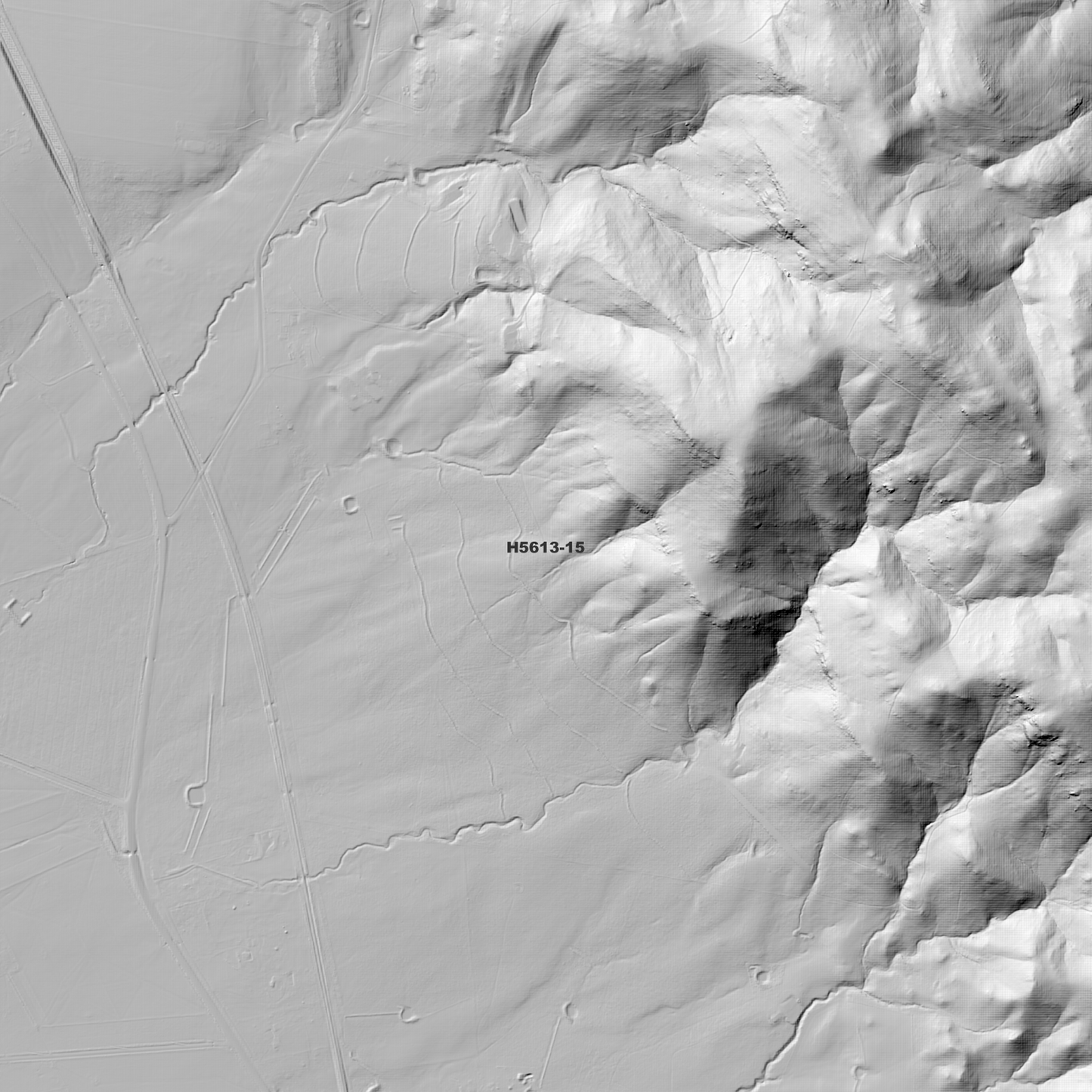 Willow Tree 1m Digital Elevation Model (H5613-15)