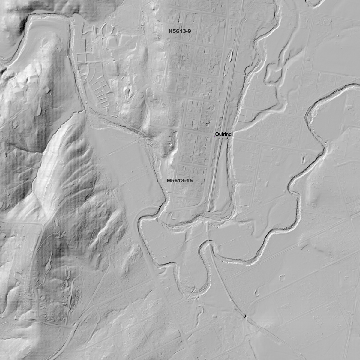 Willow Tree 1m & 5m Digital Elevation Models (H5613-15)