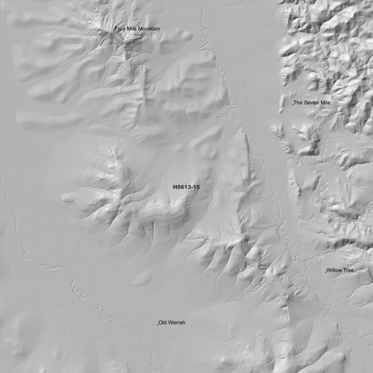 Willow Tree 1m & 5m Digital Elevation Models (H5613-15)