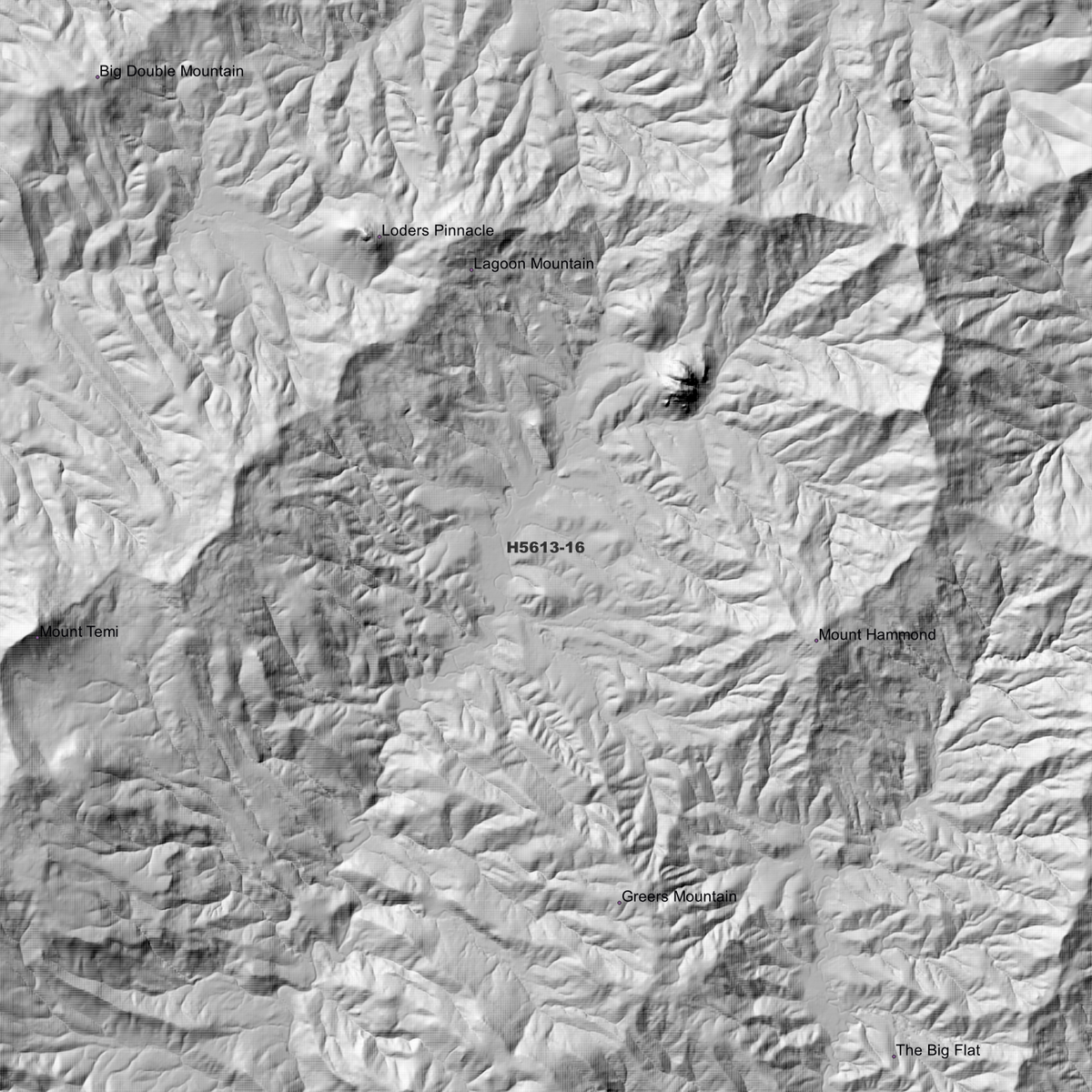 Ardglen 1m & 5m Digital Elevation Models (H5613-16)