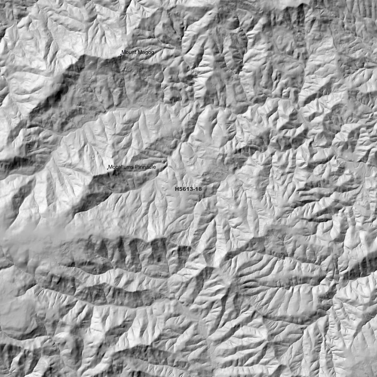 Magog 2m & 5m Digital Elevation Models (H5613-18)