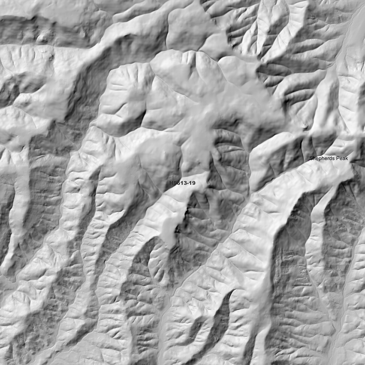 Shepherds Peak 2m & 5m Digital Elevation Models (H5613-19)