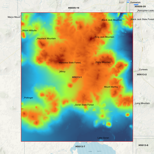 Wondoba 1m Digital Elevation Model (H5613-1)