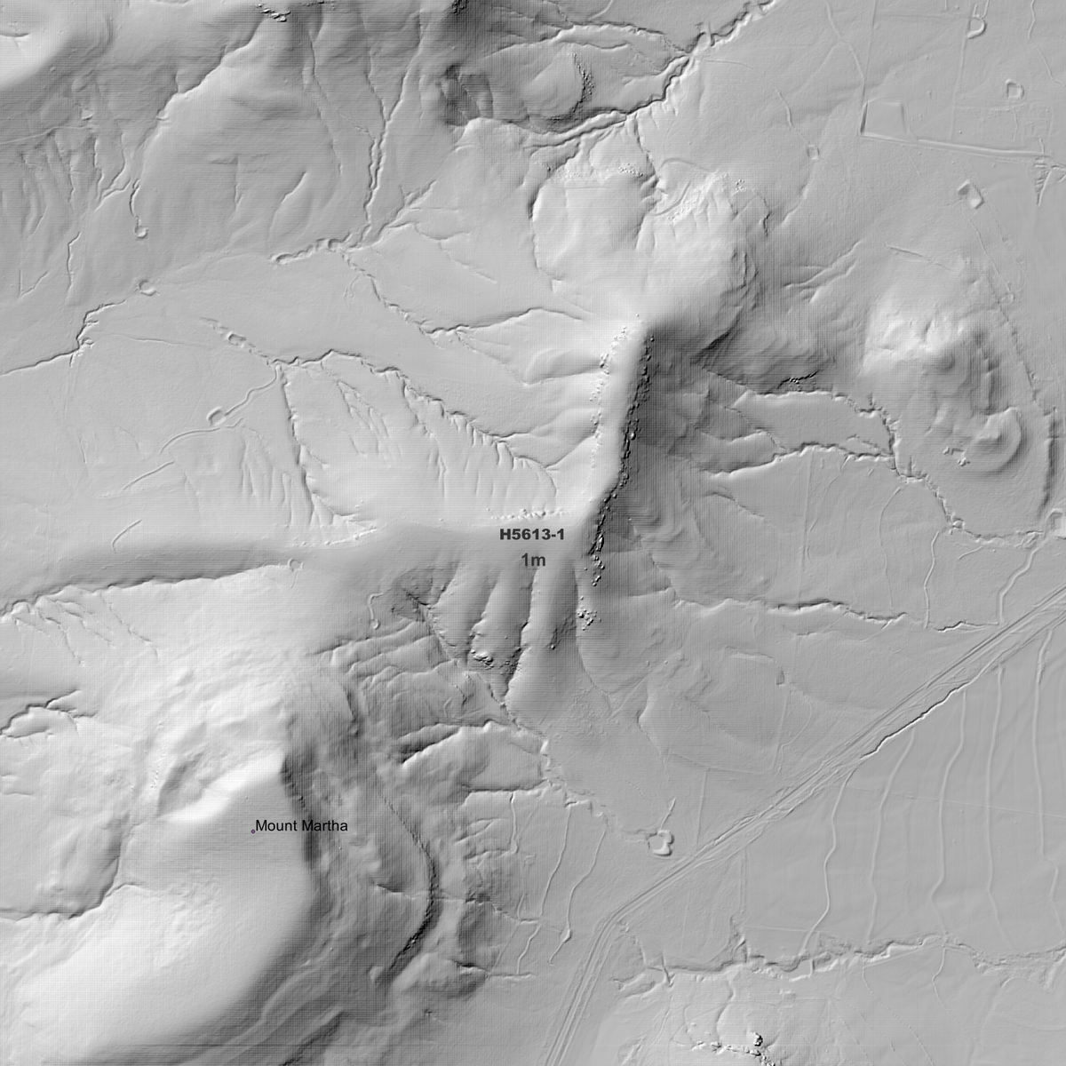 Wondoba 1m Digital Elevation Models (H5613-1)