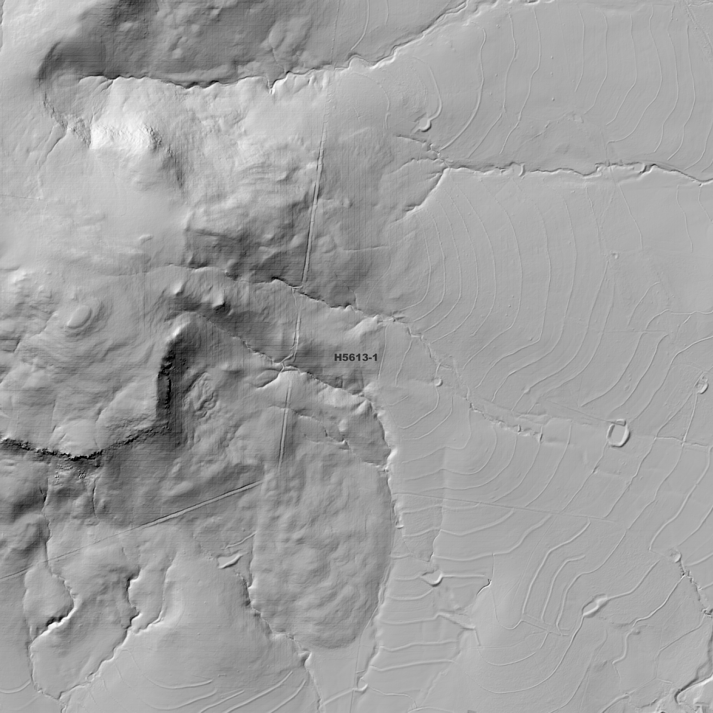 Wondoba 1m Digital Elevation Model (H5613-1)