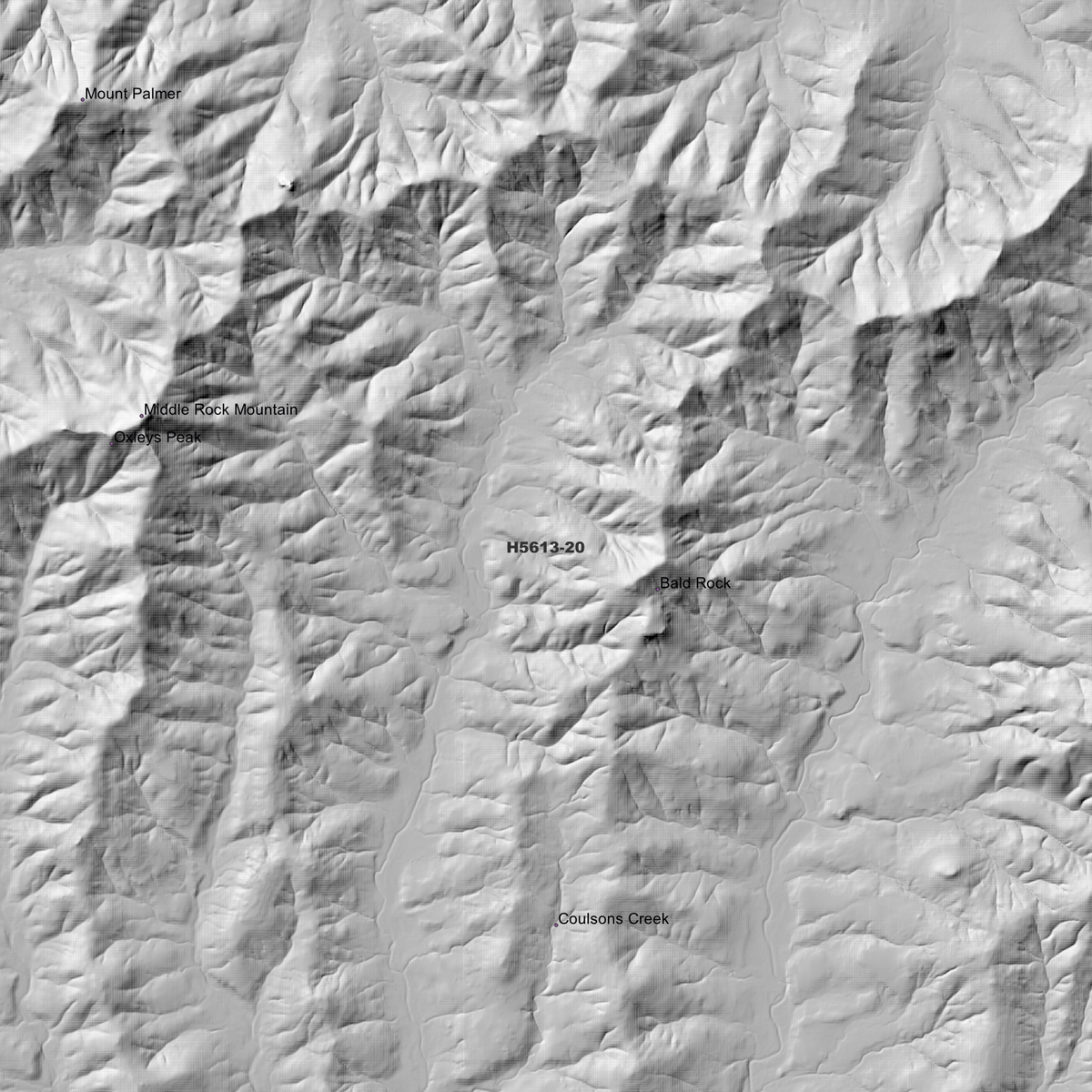 Larrys Peak 1m & 5m Digital Elevation Models (H5613-20)