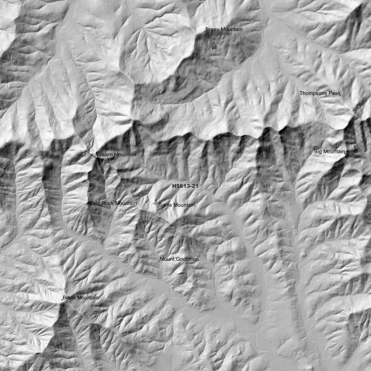 Towarri 1m, 2m & 5m Digital Elevation Models (H5613-21)