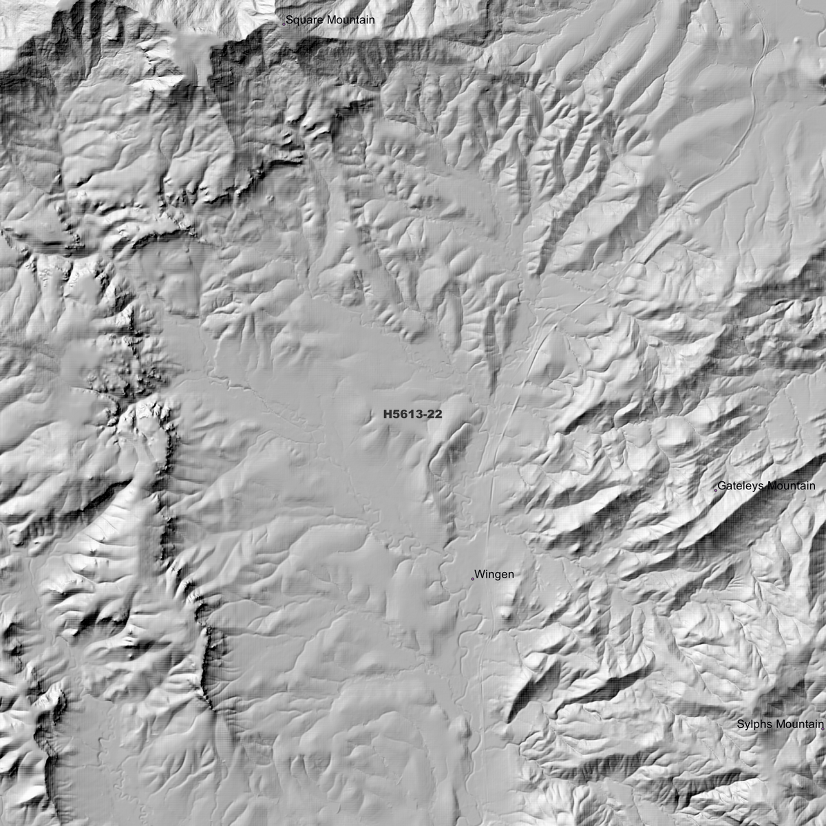 Wingen 1m, 2m & 5m Digital Elevation Models (H5613-22)