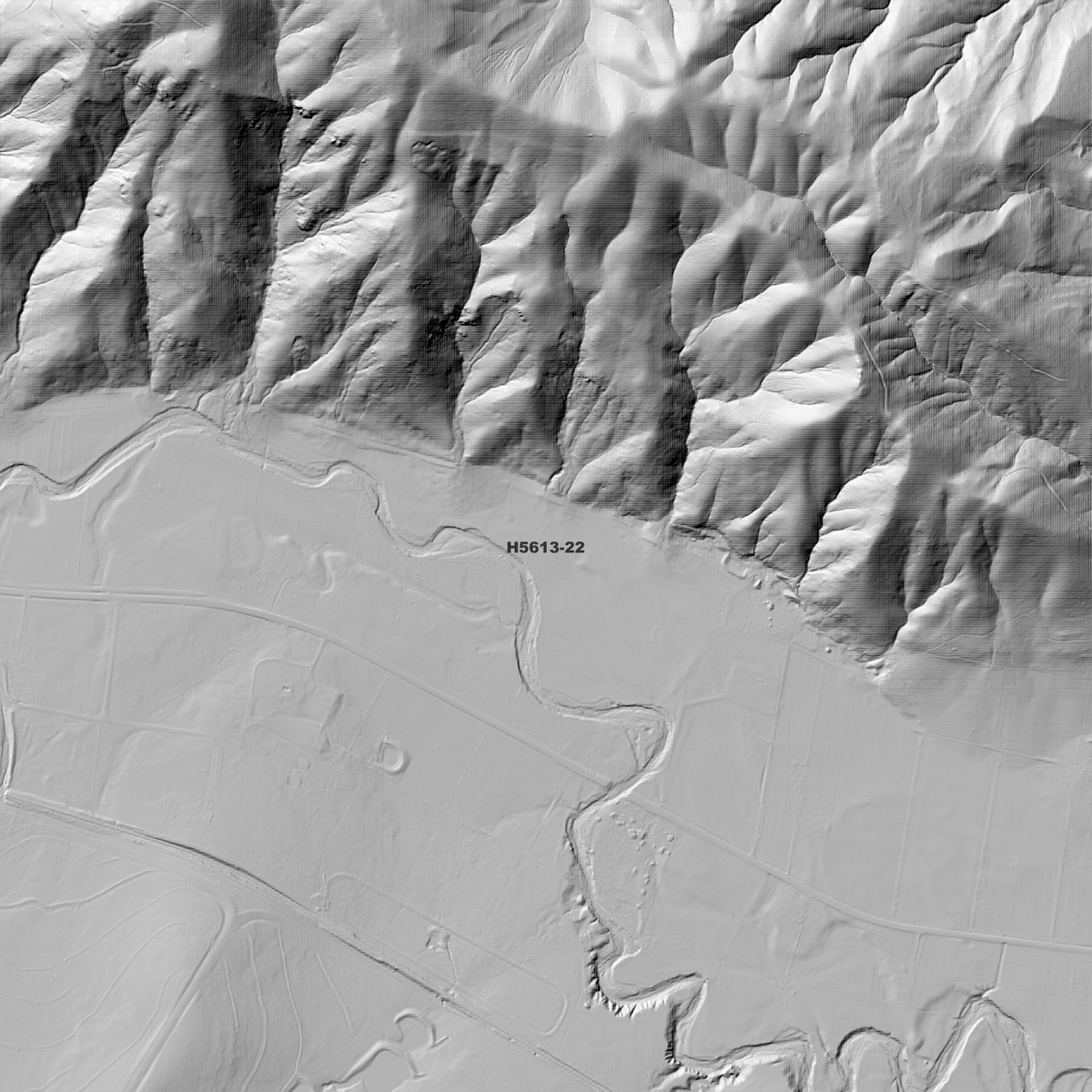 Wingen 1m, 2m & 5m Digital Elevation Models (H5613-22)