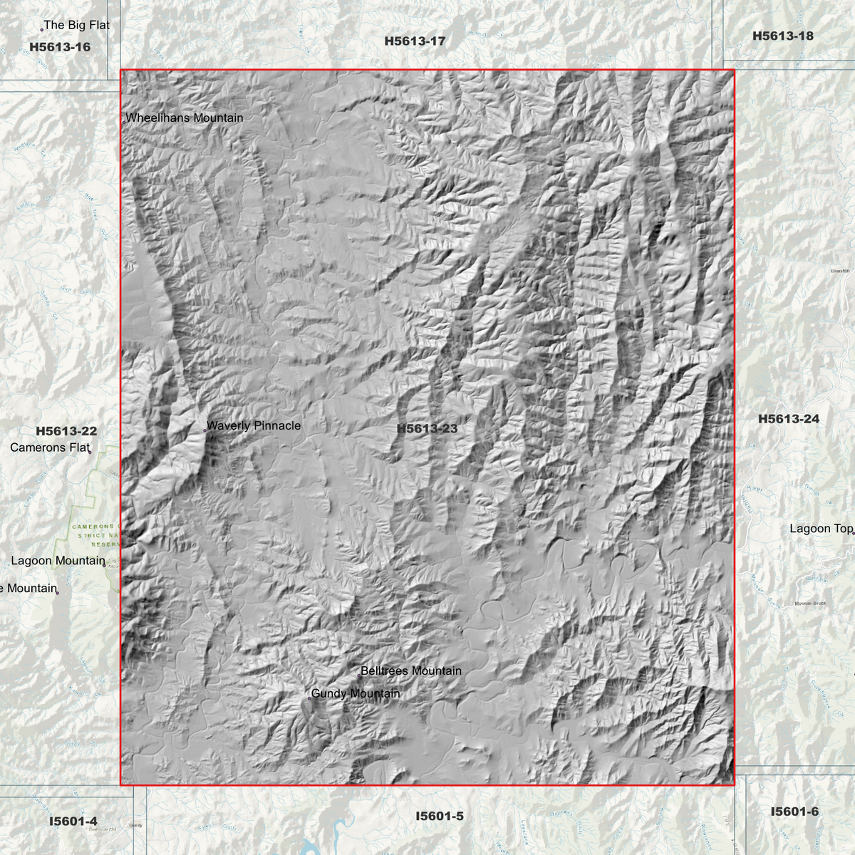 Belltrees 2m & 5m Digital Elevation Models (H5613-23)