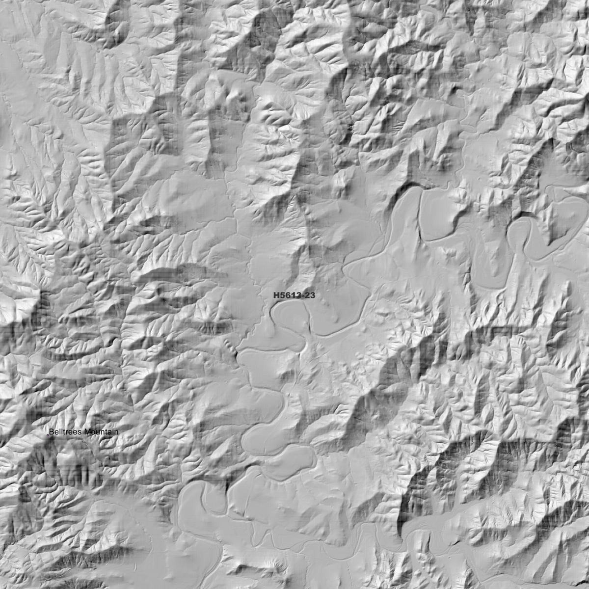 Belltrees 2m & 5m Digital Elevation Models (H5613-23)