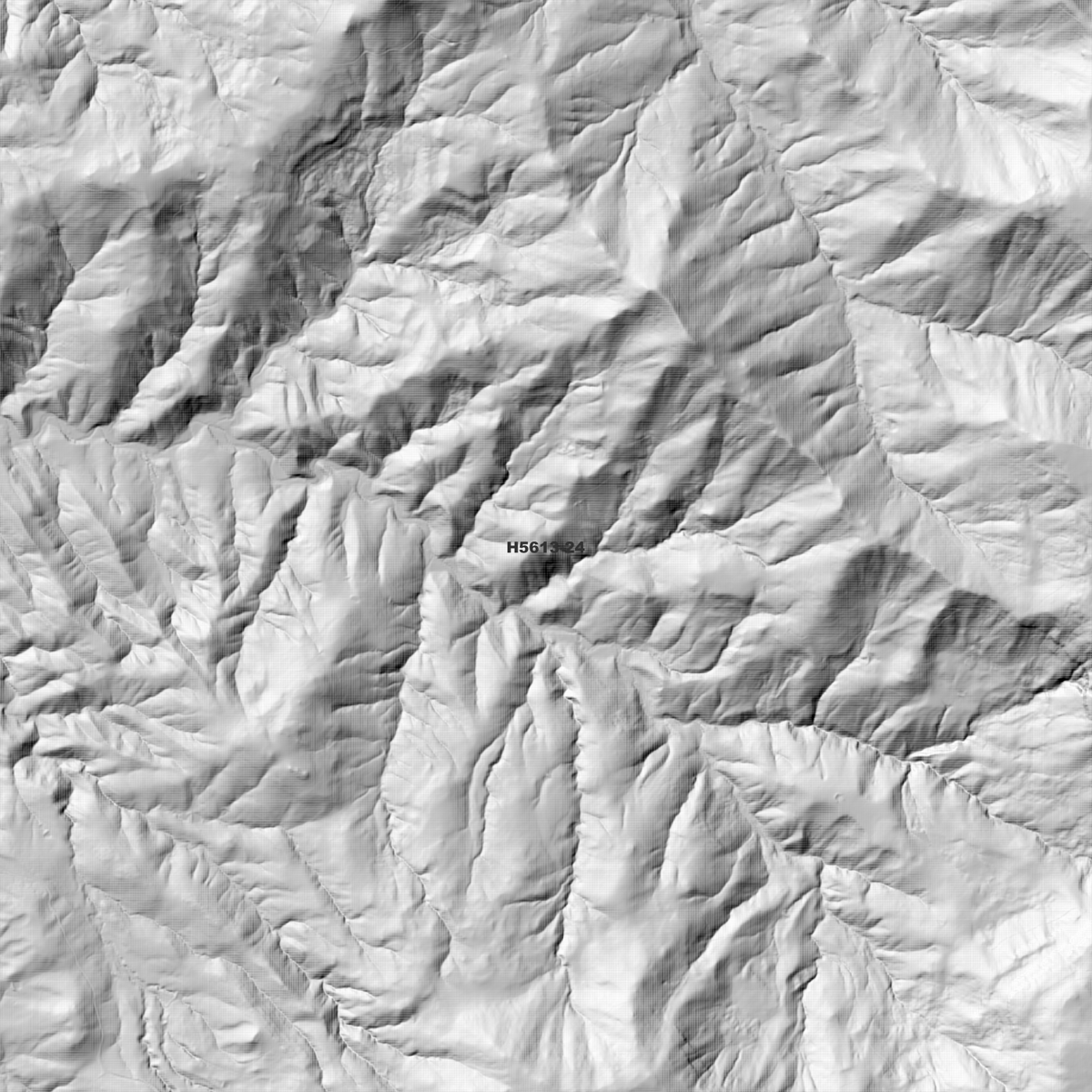 Devils Hole 2m & 5m Digital Elevation Models (H5613-24)