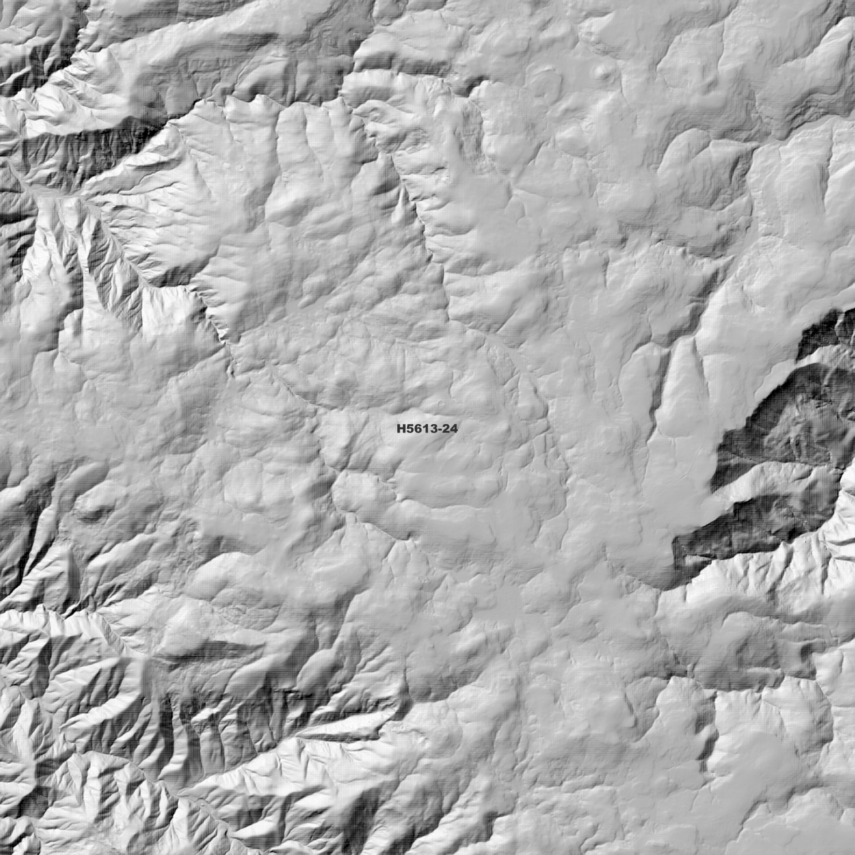 Devils Hole 2m & 5m Digital Elevation Models (H5613-24)
