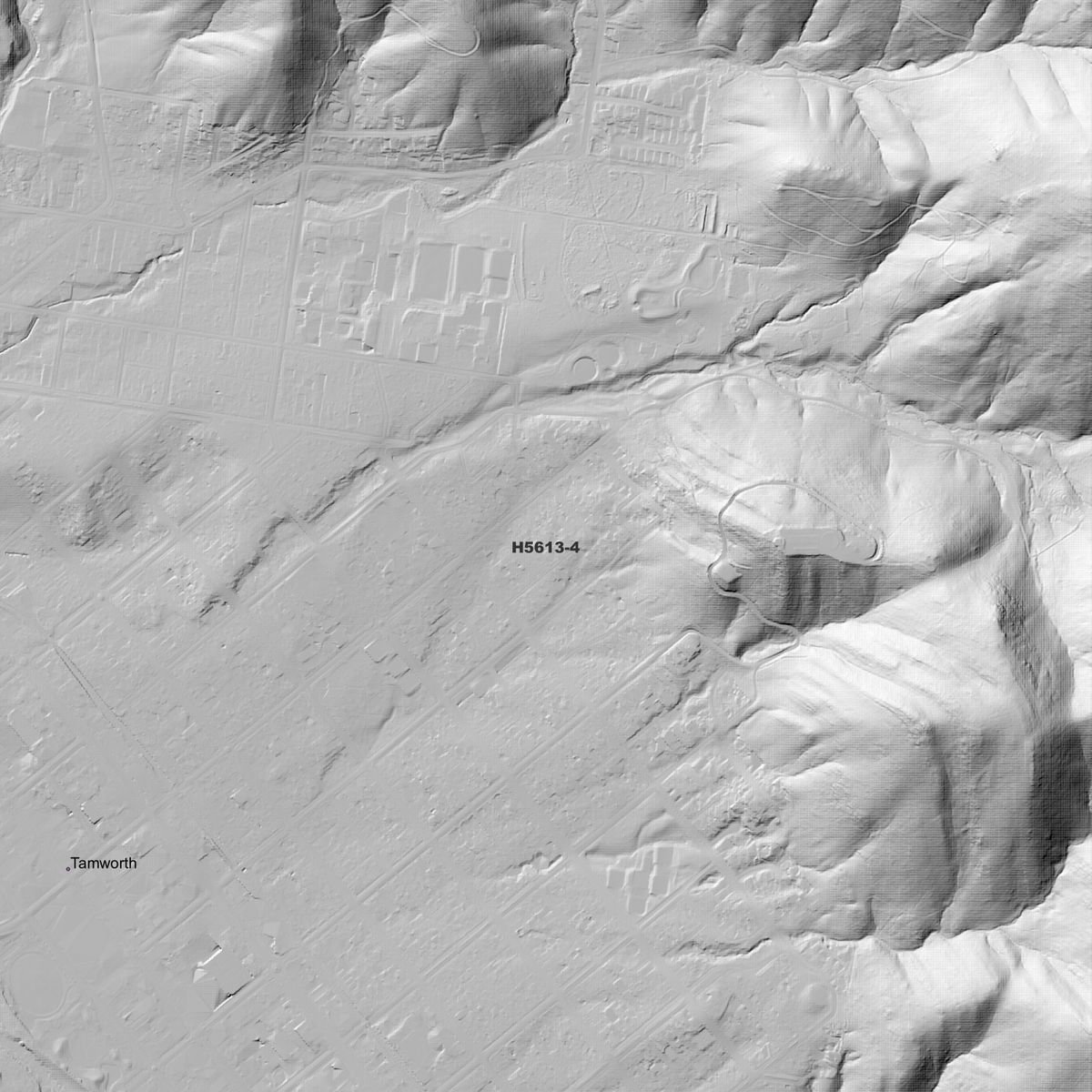 Tamworth 1m & 5m Digital Elevation Models (H5613-4)