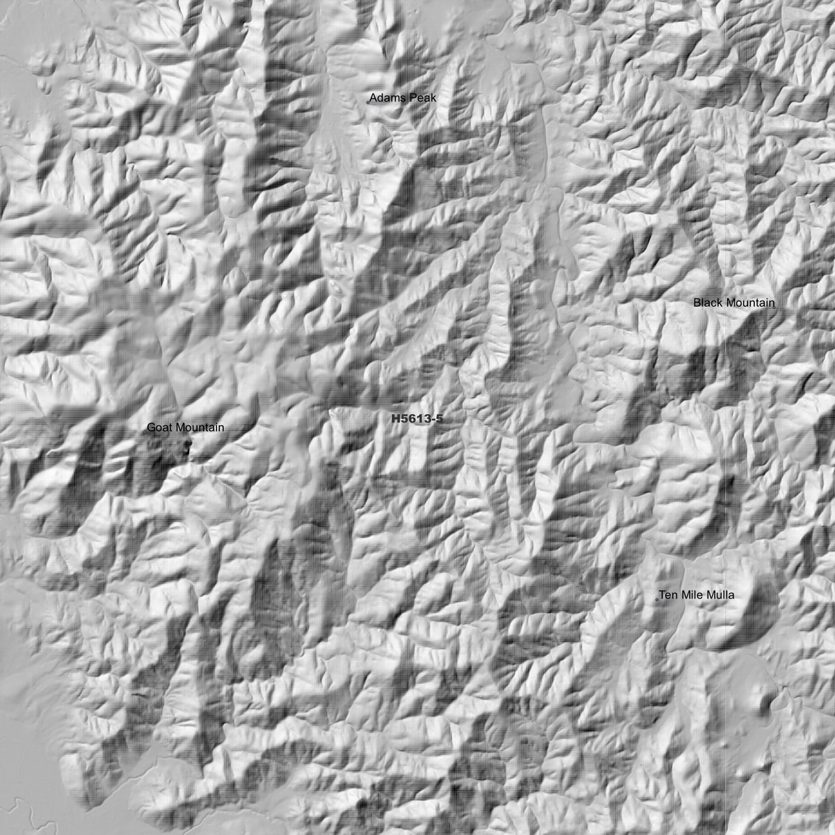 Kootingal 1m & 5m Digital Elevation Models (H5613-5)