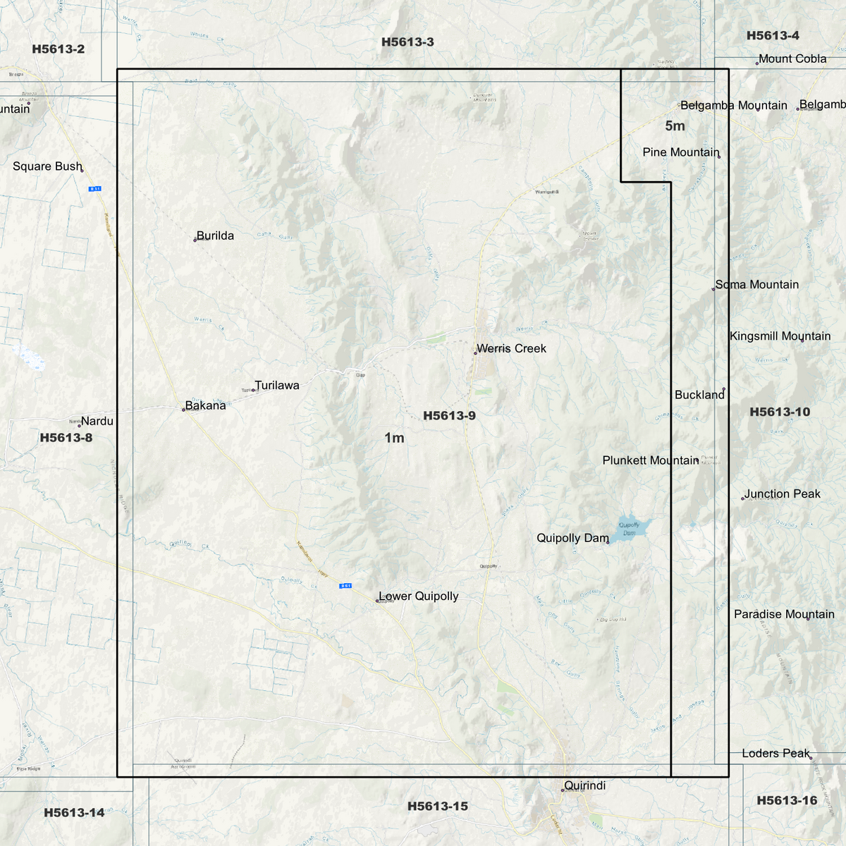 Werris Creek 1m & 5m Digital Elevation Models (H5613-9)