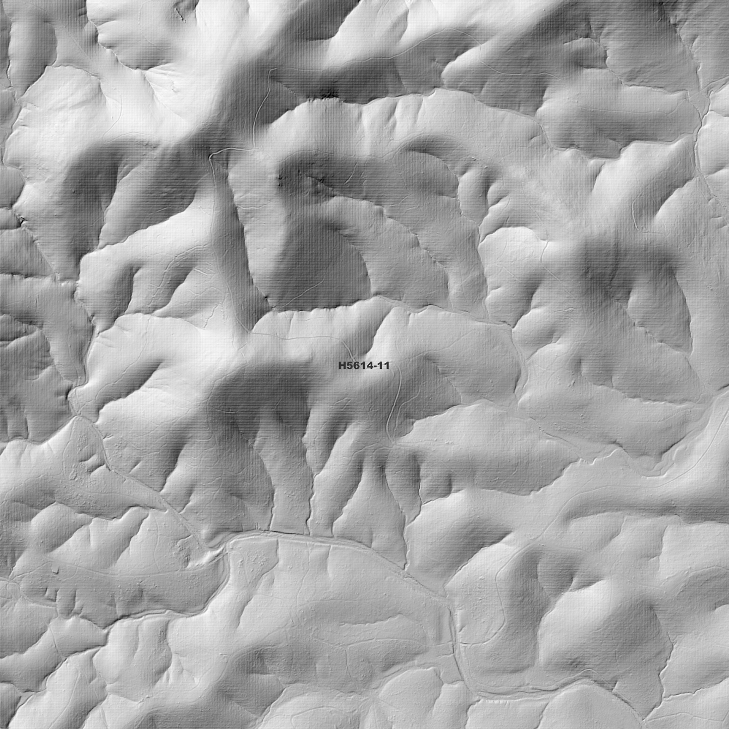 Wauchope 1m Digital Elevation Model (H5614-11)