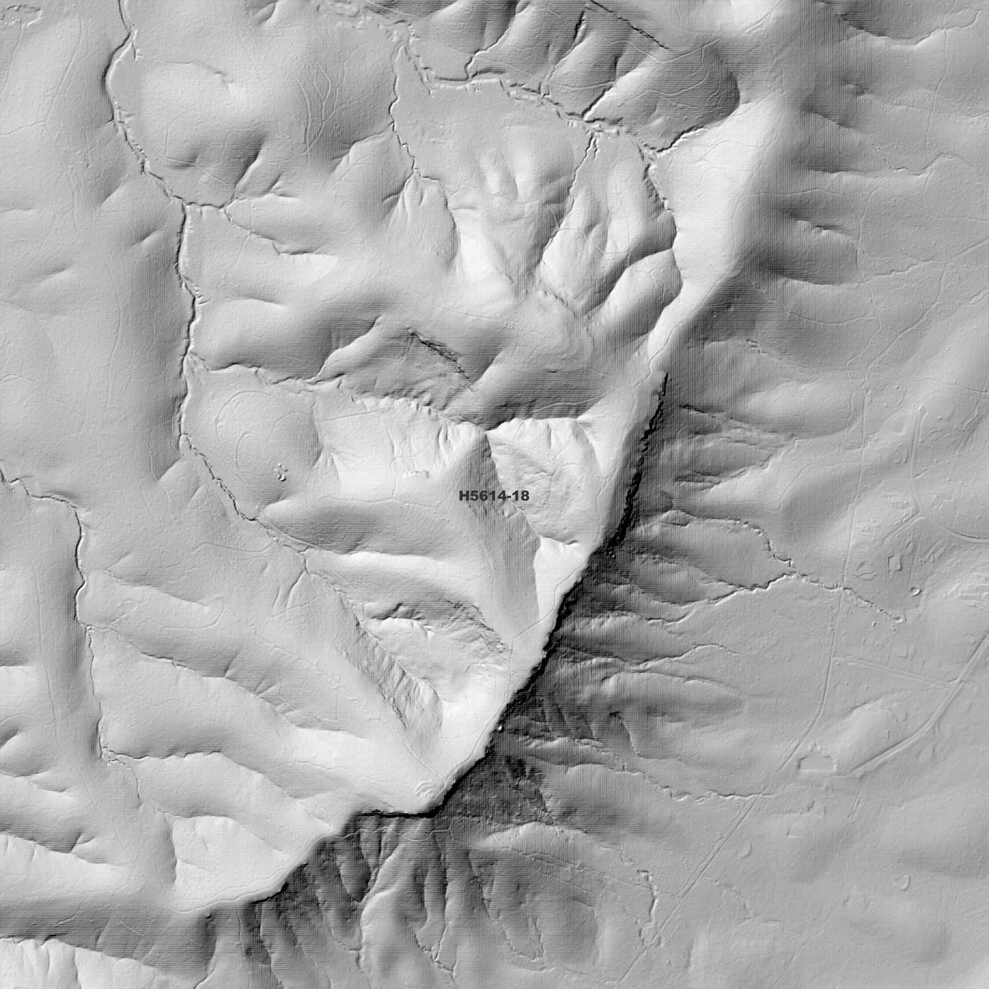 Cathie 1m Digital Elevation Model (H5614-18)
