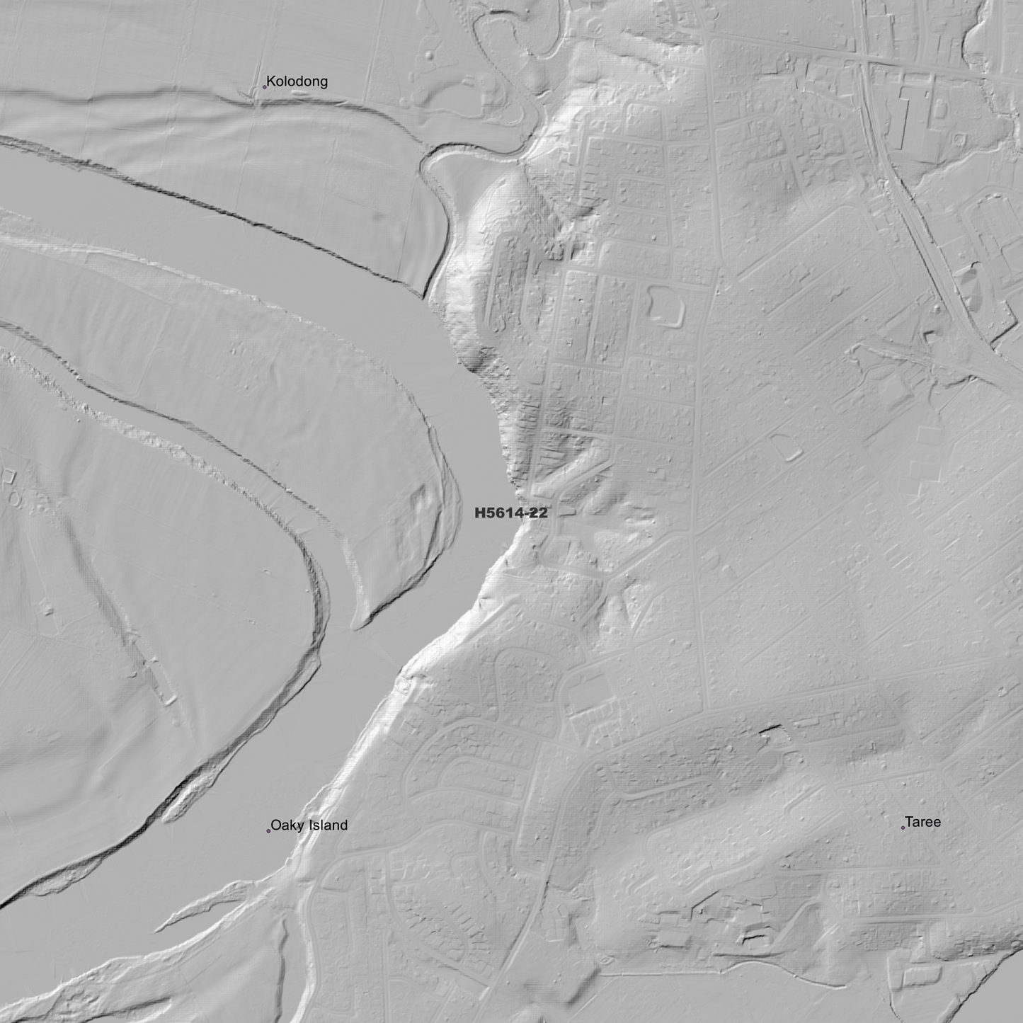 Taree 1m Digital Elevation Model (H5614-22)