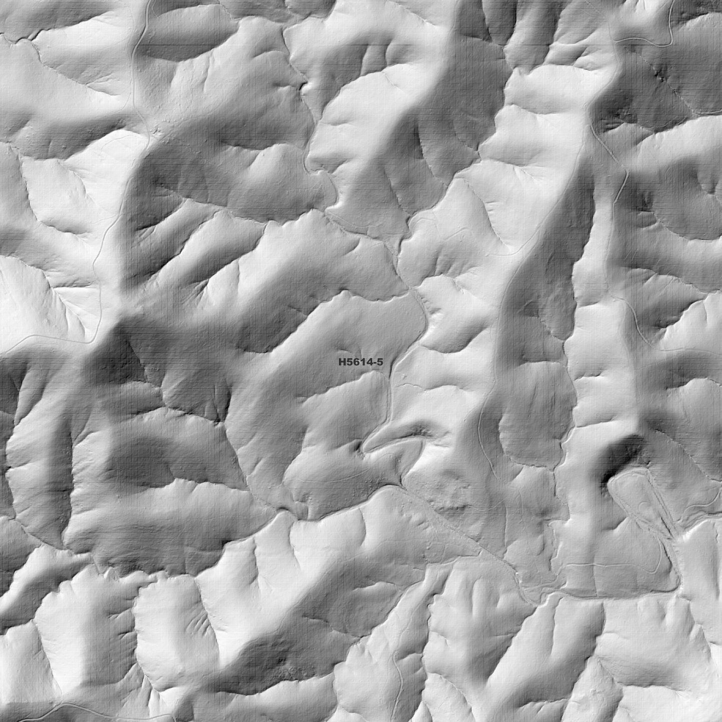 Yarravel 1m Digital Elevation Model (H5614-5)