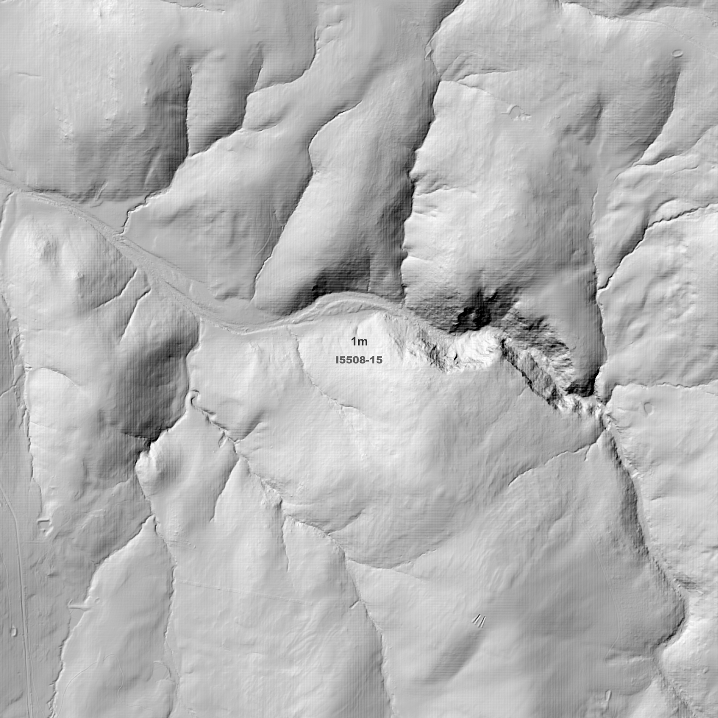 Carcoar 1m & 5m Digital Elevation Models (I5508-15)