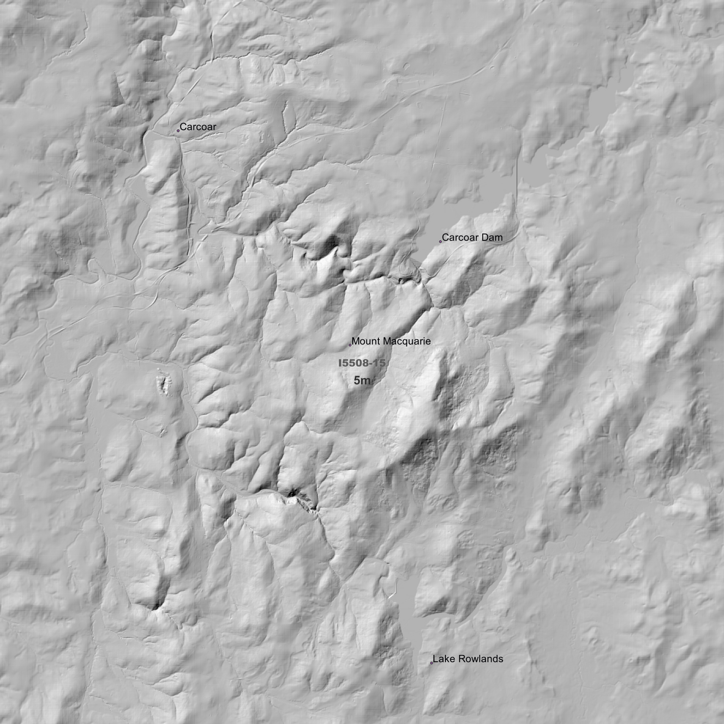 Carcoar 1m & 5m Digital Elevation Models (I5508-15)