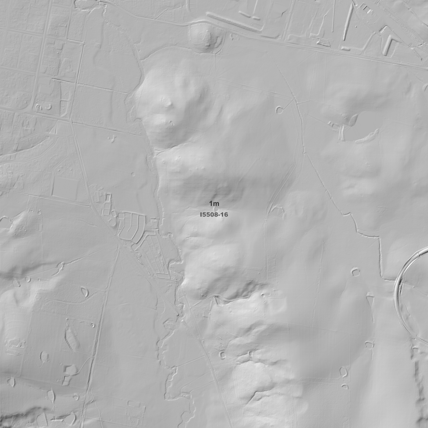 Blayney 1m & 5m Digital Elevation Models (I5508-16)