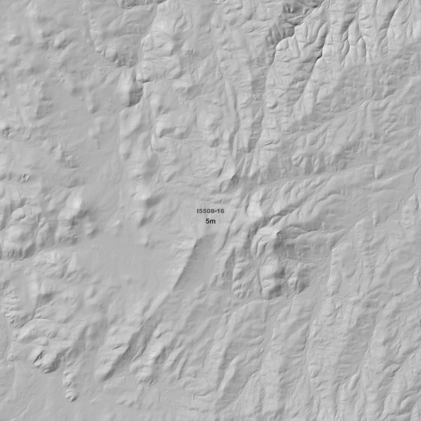 Blayney 1m & 5m Digital Elevation Models (I5508-16)
