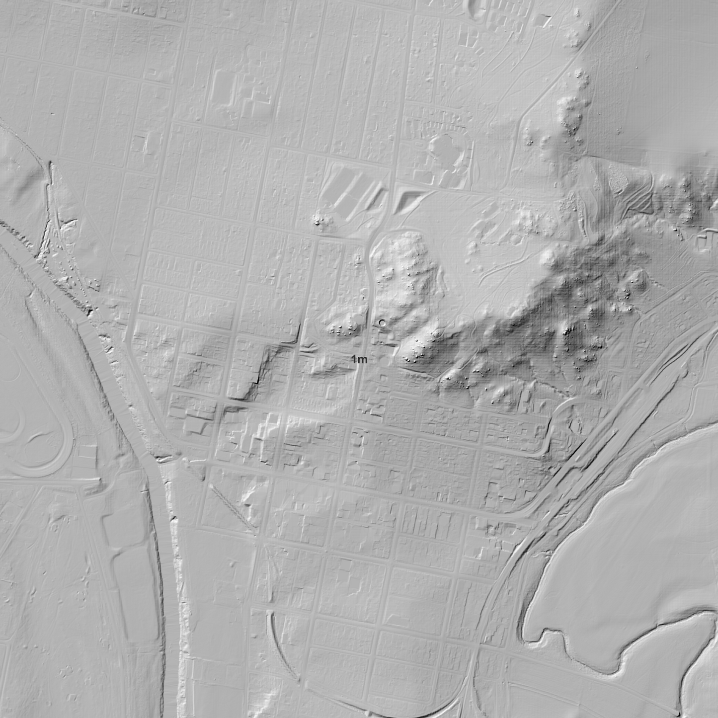 Cowra 1m & 5m Digital Elevation Models (I5508-19)