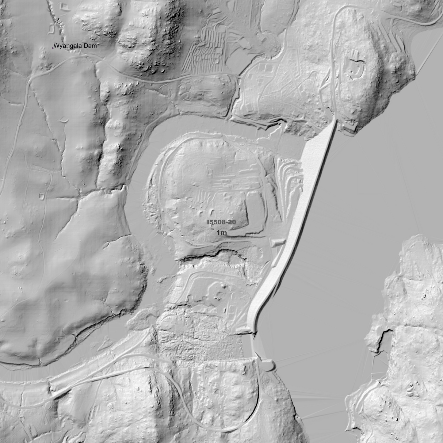 Wyangala 1m & 5m Digital Elevation Models (I5508-20)
