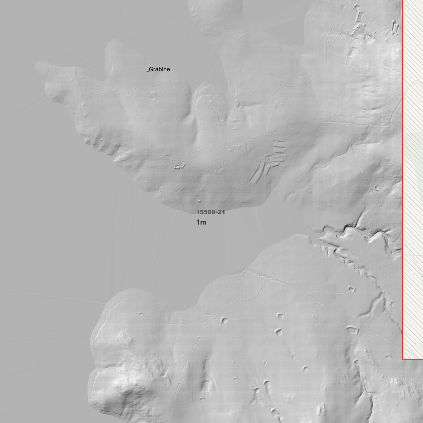 Grabine 1m & 5m Digital Elevation Models (I5508-21)