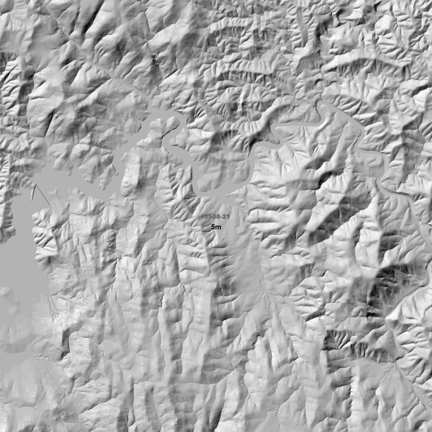 Grabine 1m & 5m Digital Elevation Models (I5508-21)