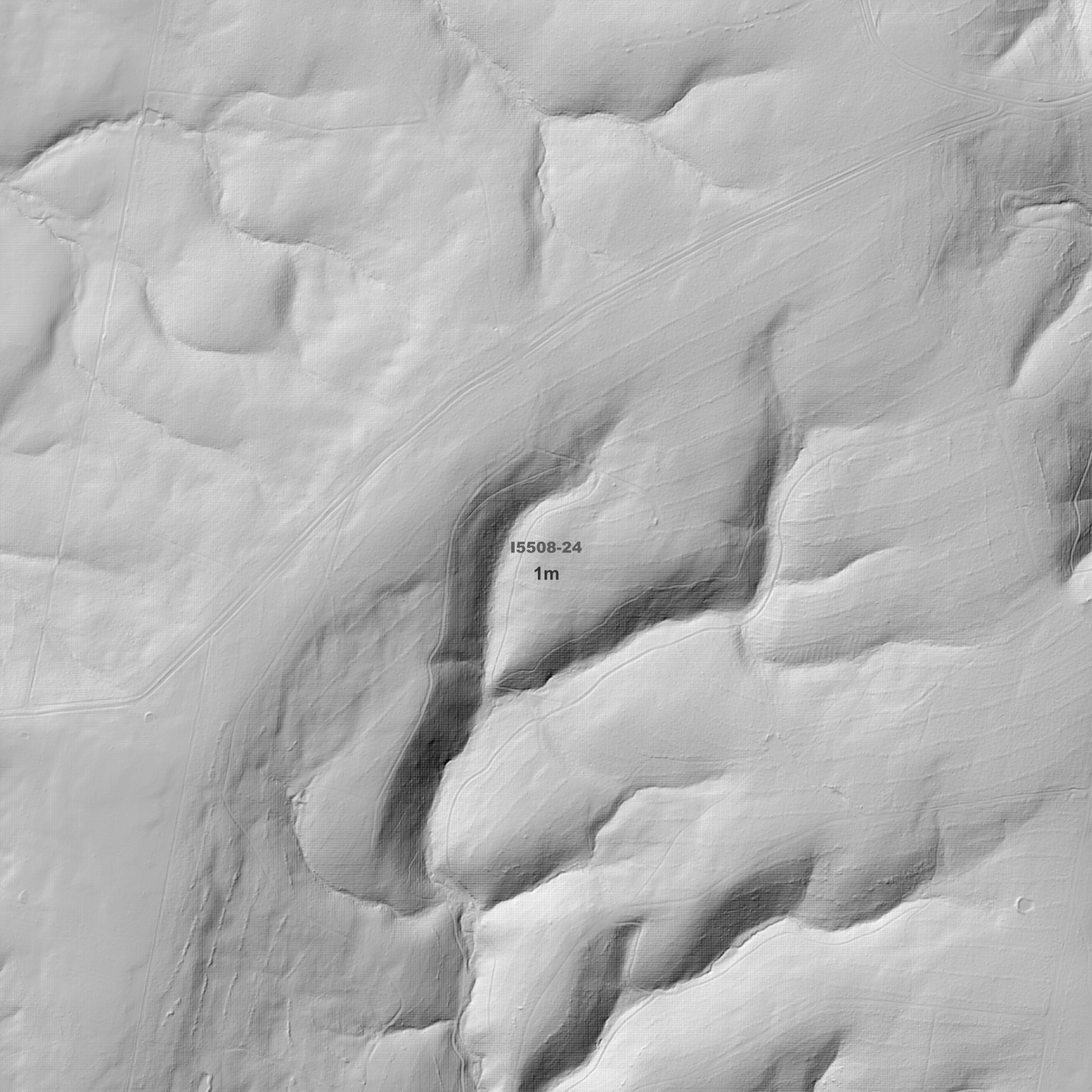 Tuglow 1m, 2m & 5m Digital Elevation Models (I5508-24)