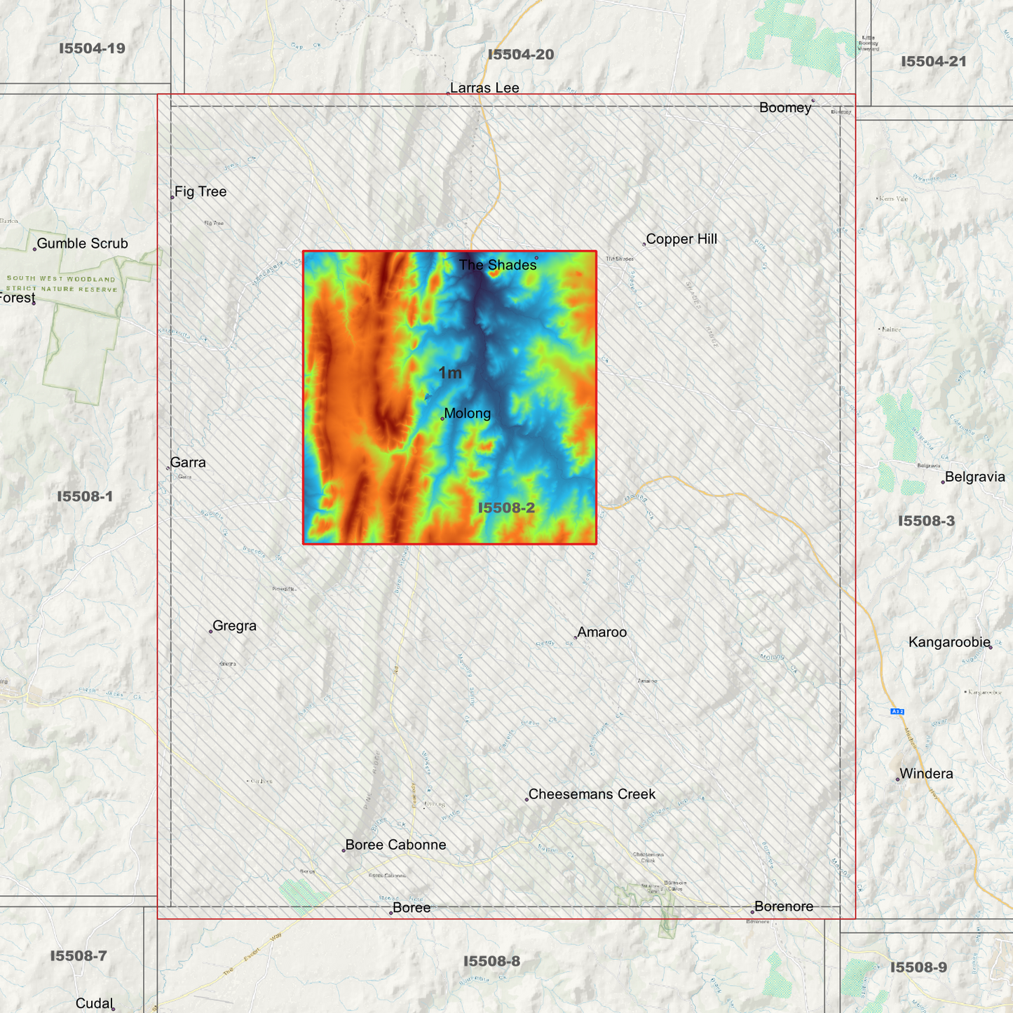 Molong 1m & 5m Digital Elevation Models (I5508-2)