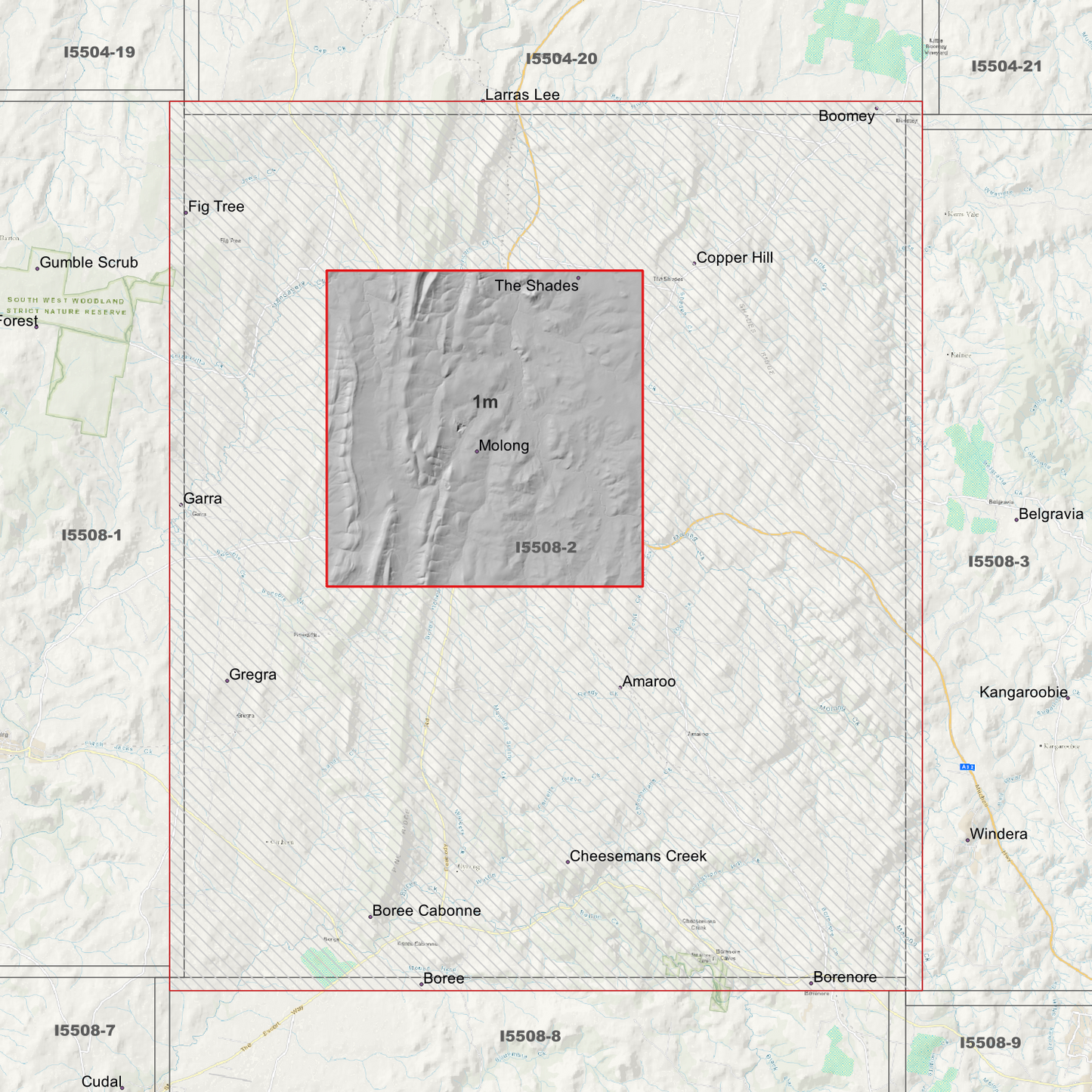Molong 1m & 5m Digital Elevation Models (I5508-2)