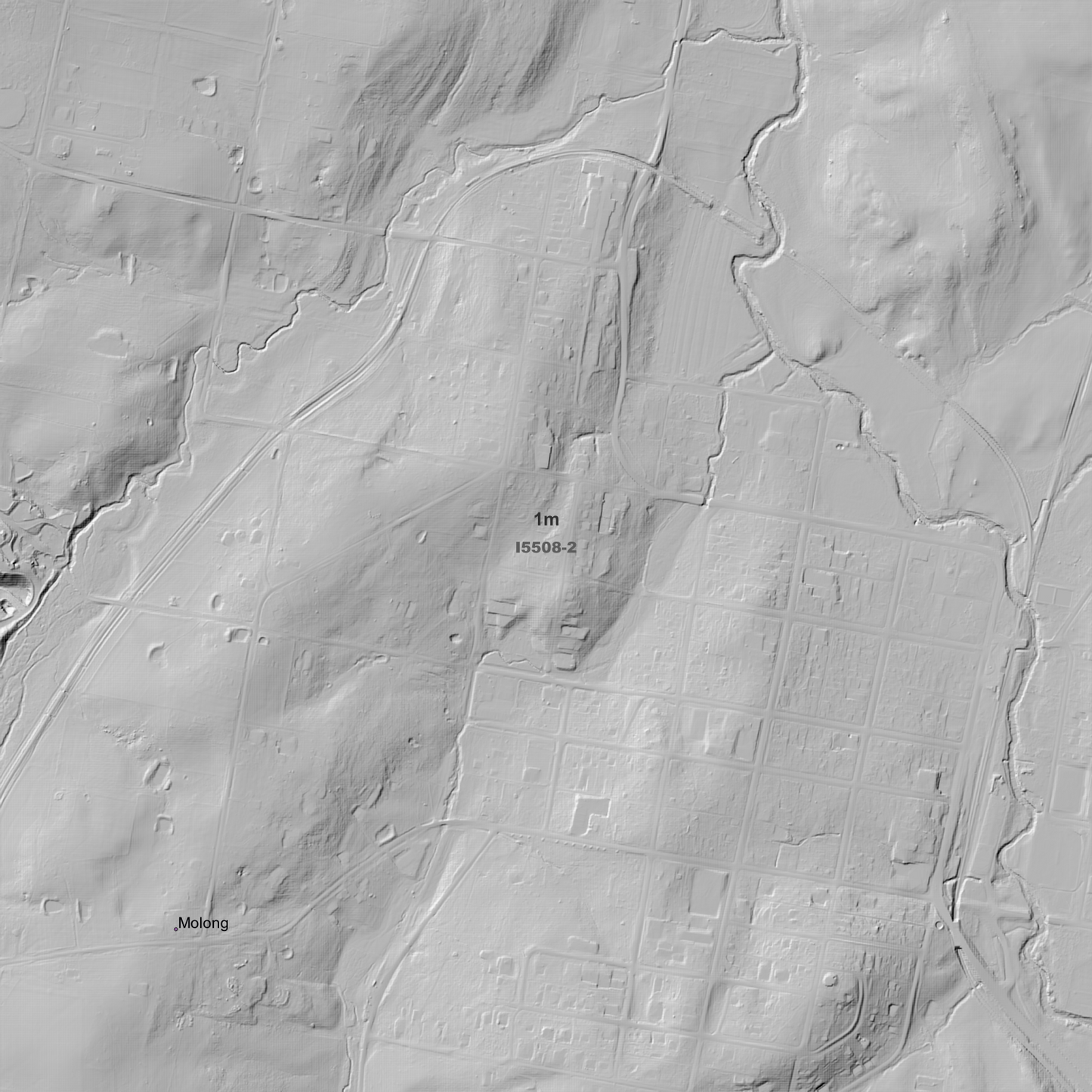 Molong 1m & 5m Digital Elevation Models (I5508-2)