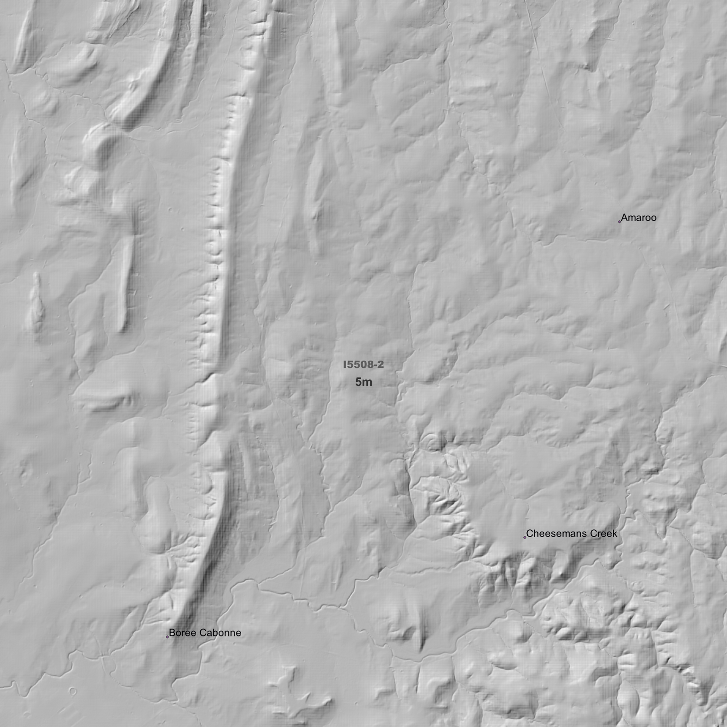 Molong 1m & 5m Digital Elevation Models (I5508-2)
