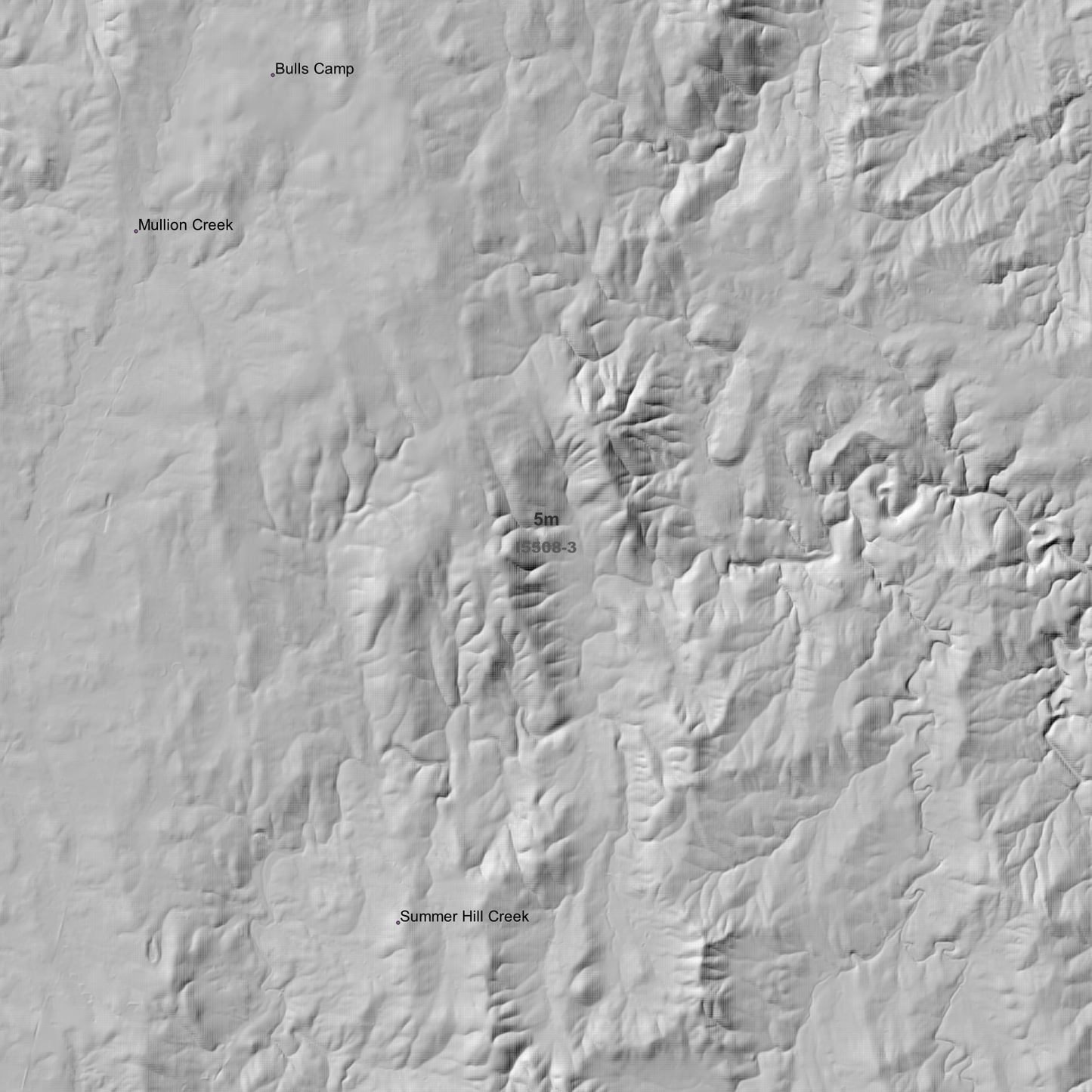 Ophir 1m & 5m Digital Elevation Models (I5508-3)