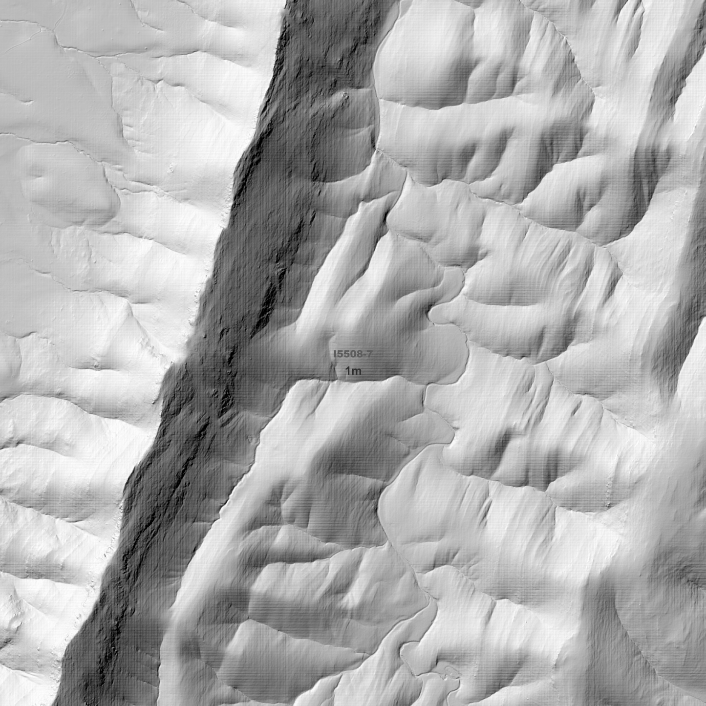 Cudal 1m & 5m Digital Elevation Models (I5508-7)