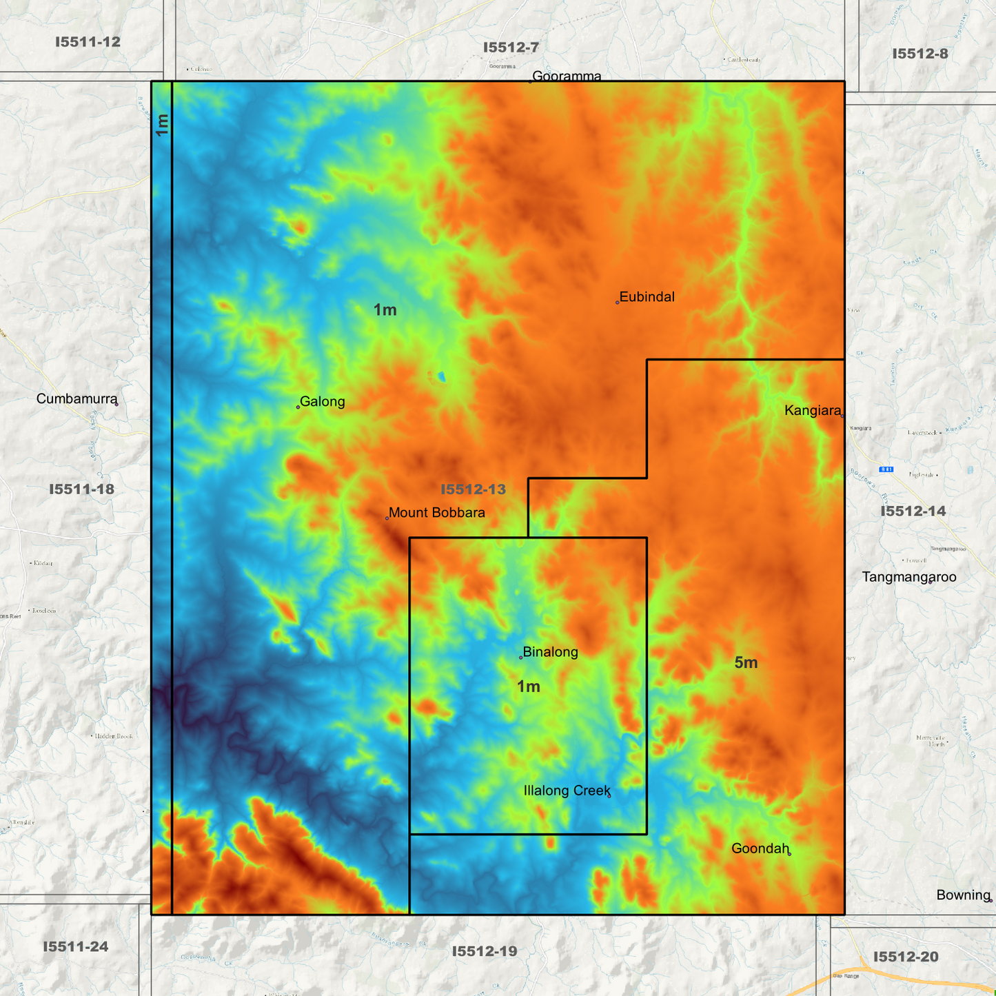 Binalong 1m & 5m Digital Elevation Models (I5512-13)