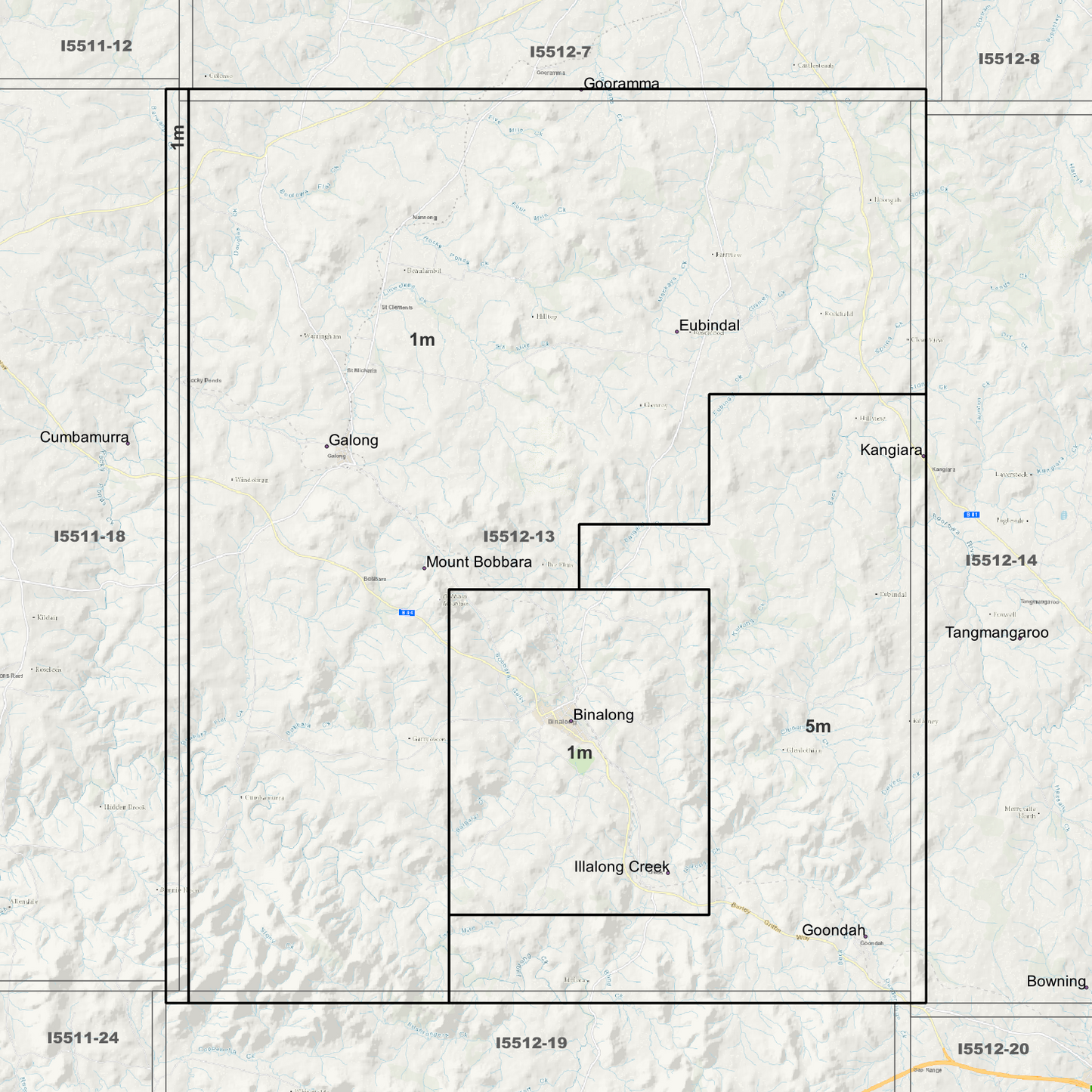 Binalong 1m & 5m Digital Elevation Models (I5512-13)