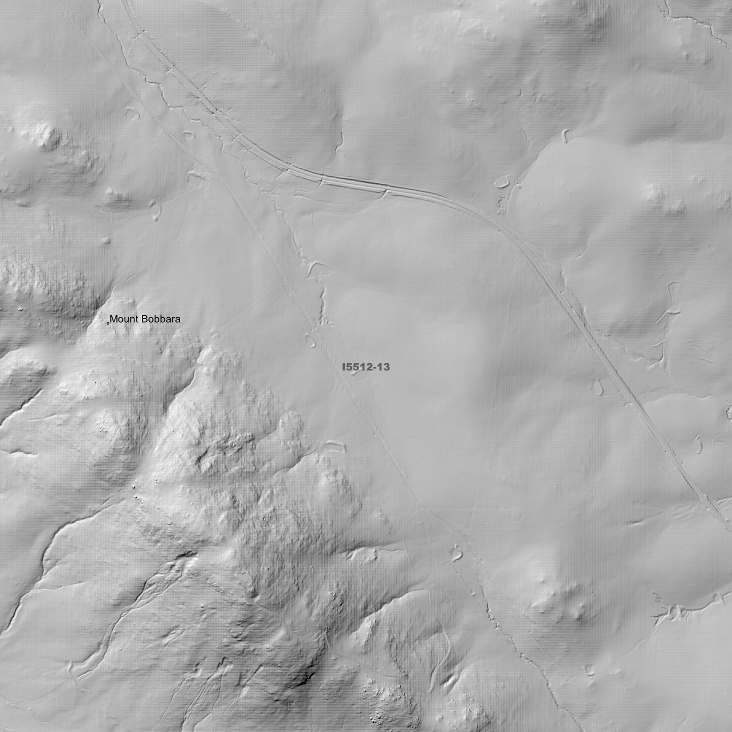 Binalong 1m & 5m Digital Elevation Models (I5512-13)