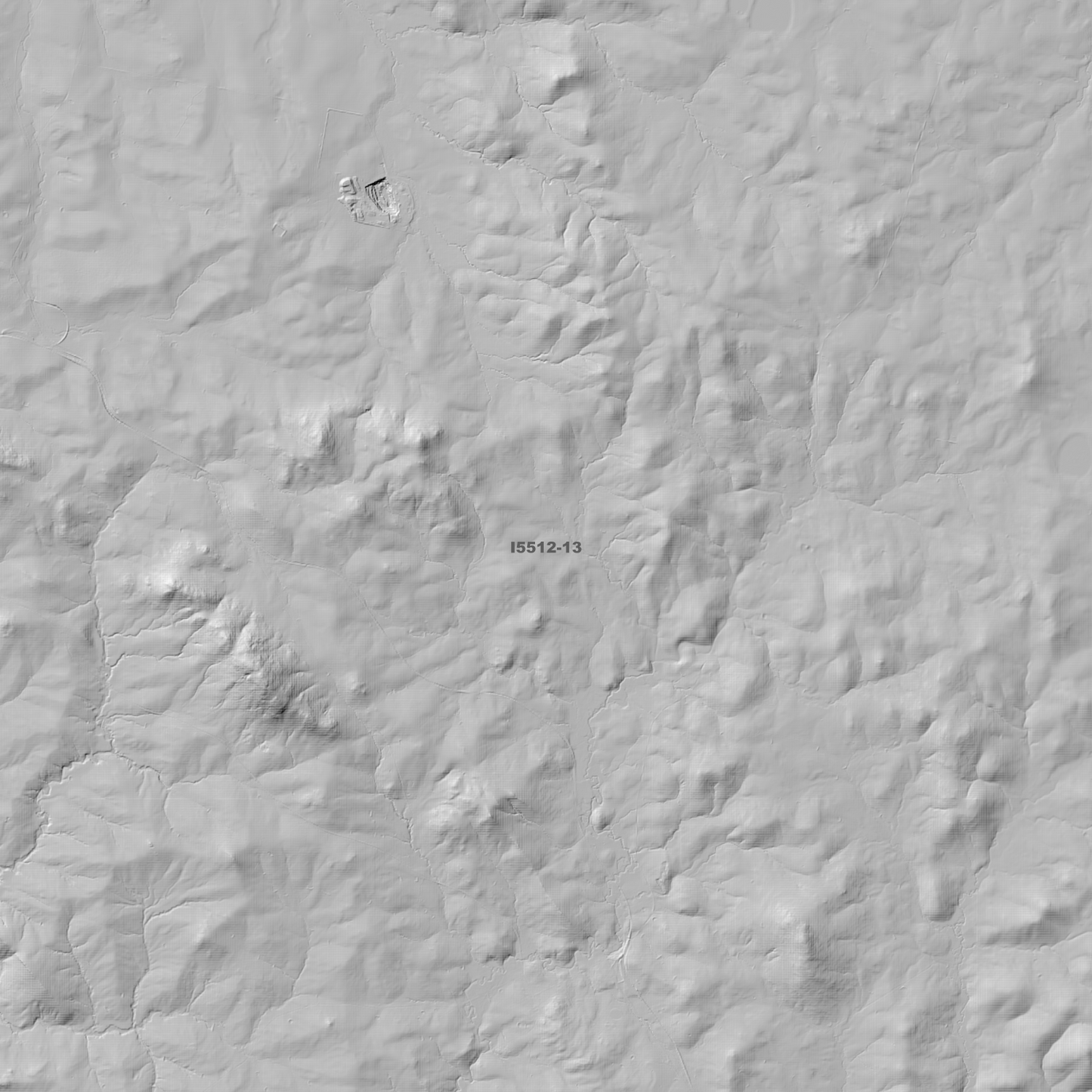 Binalong 1m & 5m Digital Elevation Models (I5512-13)